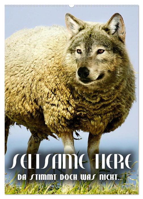 Seltsame Tiere - da stimmt doch was nicht... (CALVENDO Wandkalender 2027)