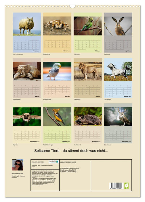 Seltsame Tiere - da stimmt doch was nicht... (CALVENDO Wandkalender 2027)