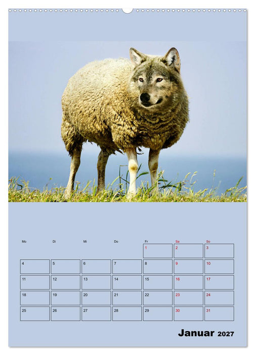 Seltsame Tiere - da stimmt doch was nicht... (CALVENDO Wandkalender 2027)