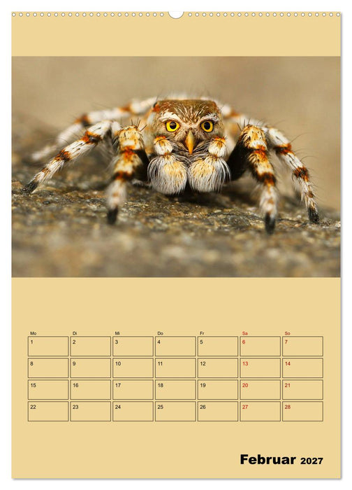 Seltsame Tiere - da stimmt doch was nicht... (CALVENDO Wandkalender 2027)