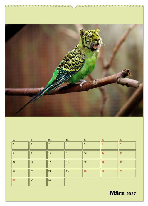 Seltsame Tiere - da stimmt doch was nicht... (CALVENDO Wandkalender 2027)