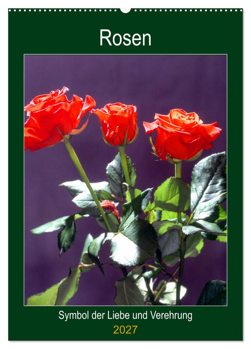 Rosen - Symbol der Liebe und Verehrung (CALVENDO Wandkalender 2027)