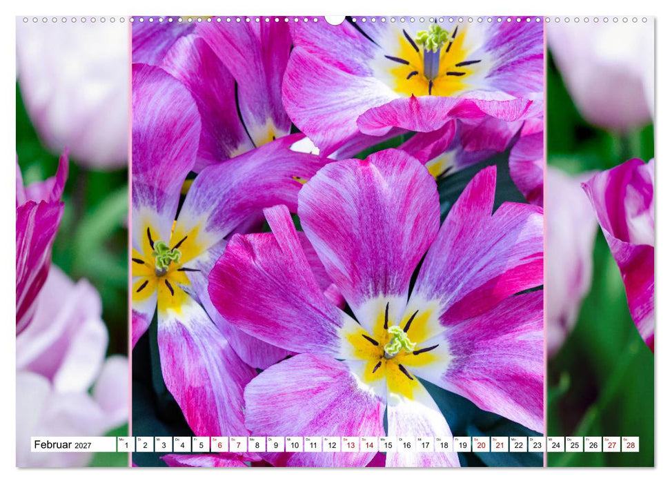 Tulpen - kunterbunte Collagen (CALVENDO Premium Wandkalender 2027)