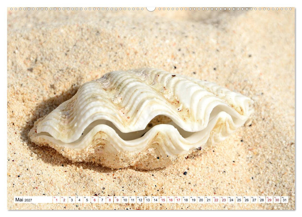 Rarotonga - Trauminsel im Südpazifik. (CALVENDO Wandkalender 2027)