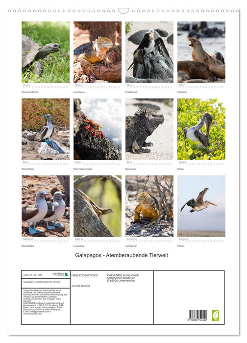 Galapagos - Atemberaubende Tierwelt (CALVENDO Wandkalender 2027)