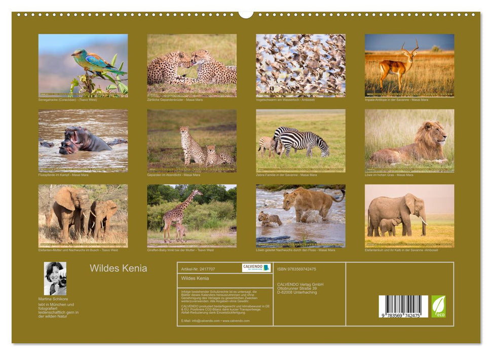 Wildes Kenia (CALVENDO Premium Wandkalender 2027)