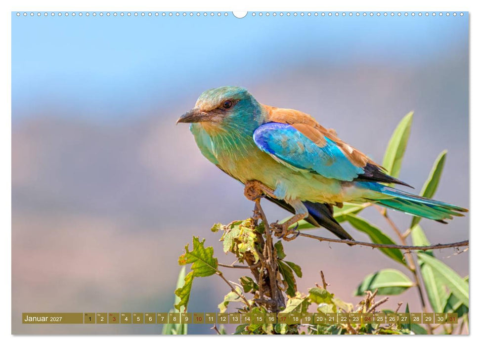 Wildes Kenia (CALVENDO Premium Wandkalender 2027)