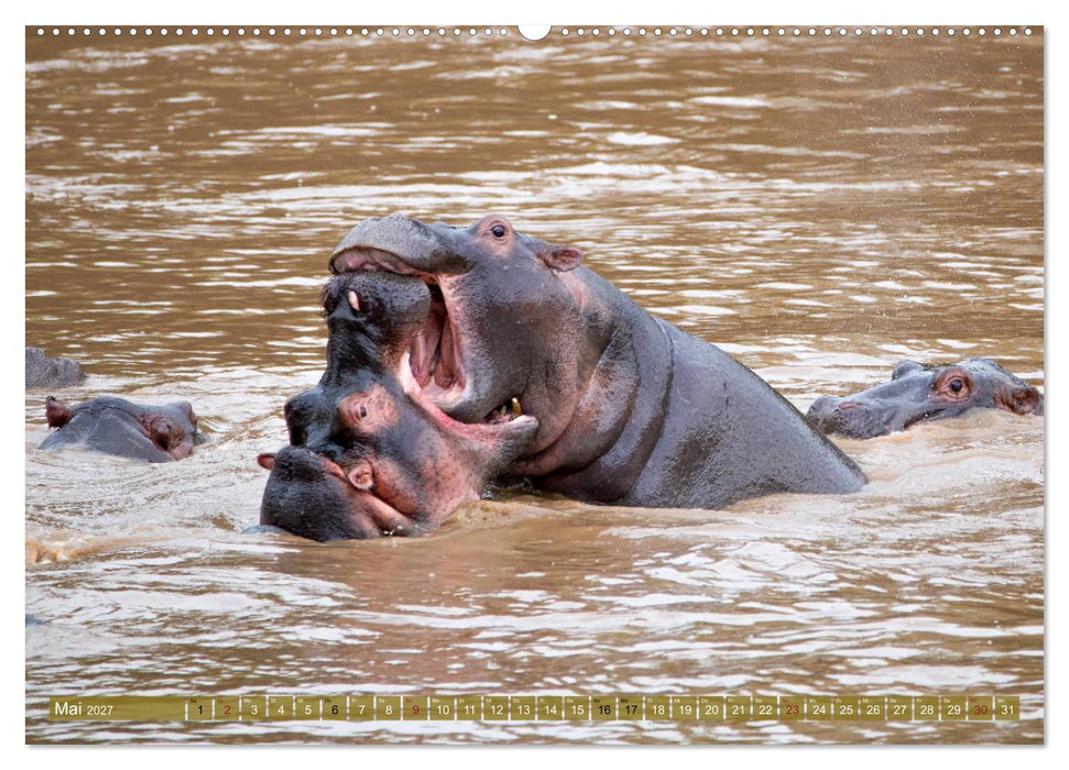 Wildes Kenia (CALVENDO Premium Wandkalender 2027)