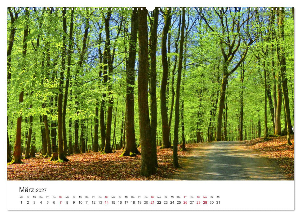 Wege durchs Jahr- Zitate begleiten auf romantisch schönen Wegen (CALVENDO Premium Wandkalender 2027)