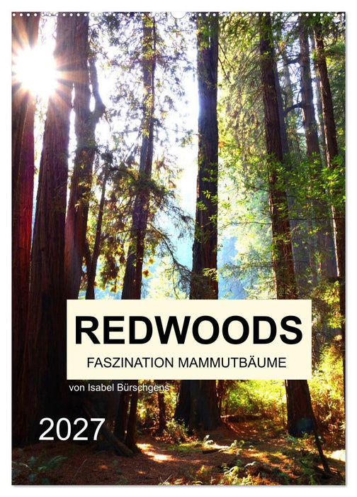 Redwoods - Faszination Mammutbäume (CALVENDO Wandkalender 2027)