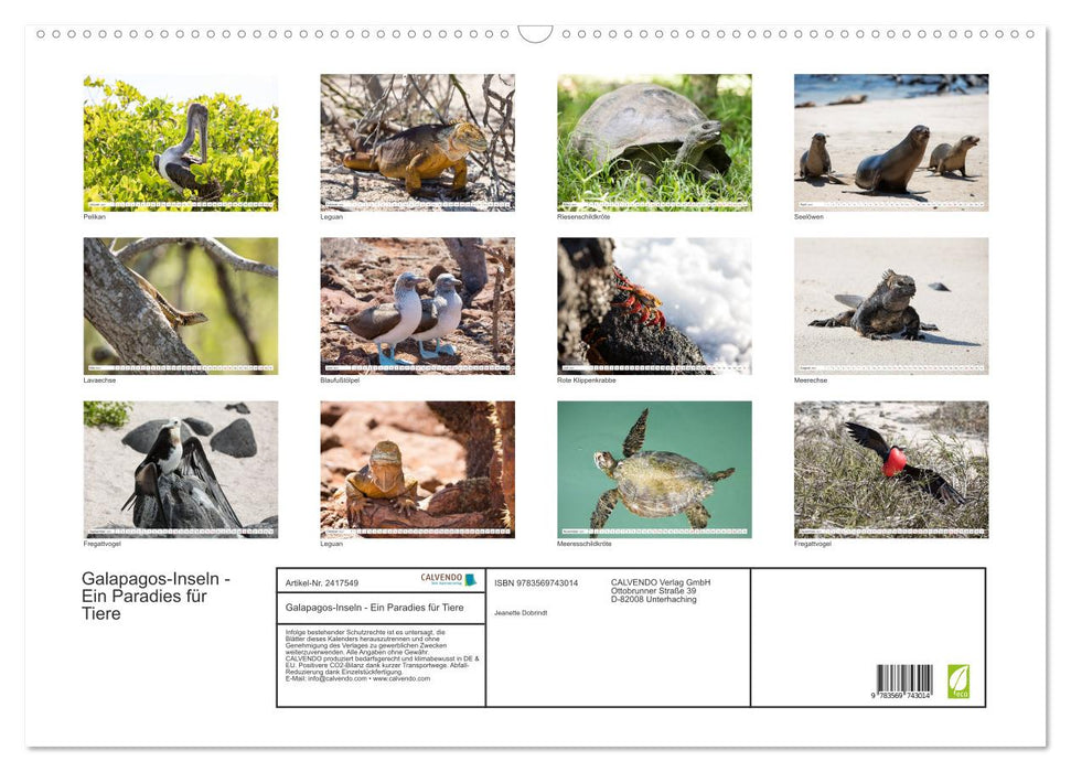 Galapagos-Inseln - Ein Paradies für Tiere (CALVENDO Wandkalender 2027)