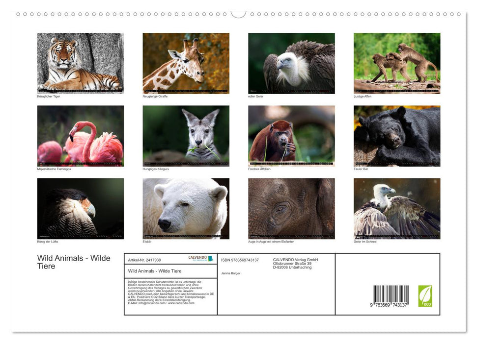 Wild Animals - Wilde Tiere (CALVENDO Premium Wandkalender 2027)