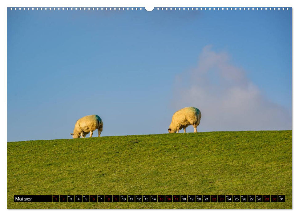 Provinz Groningen (CALVENDO Wandkalender 2027)