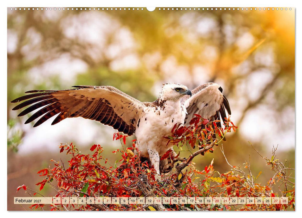 Afrikas Vogelwelt 2027 (CALVENDO Wandkalender 2027)