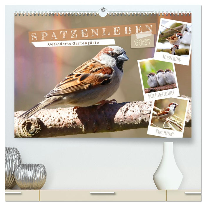 Gefiederte Gartengäste, Spatzenleben (CALVENDO Premium Wandkalender 2027)