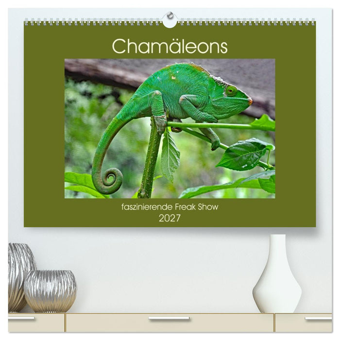 Chamäleons - faszinierende Freak Show (CALVENDO Premium Wandkalender 2027)