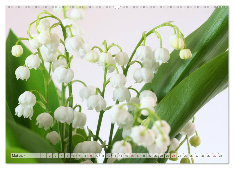 Blumenlust (CALVENDO Wandkalender 2027)