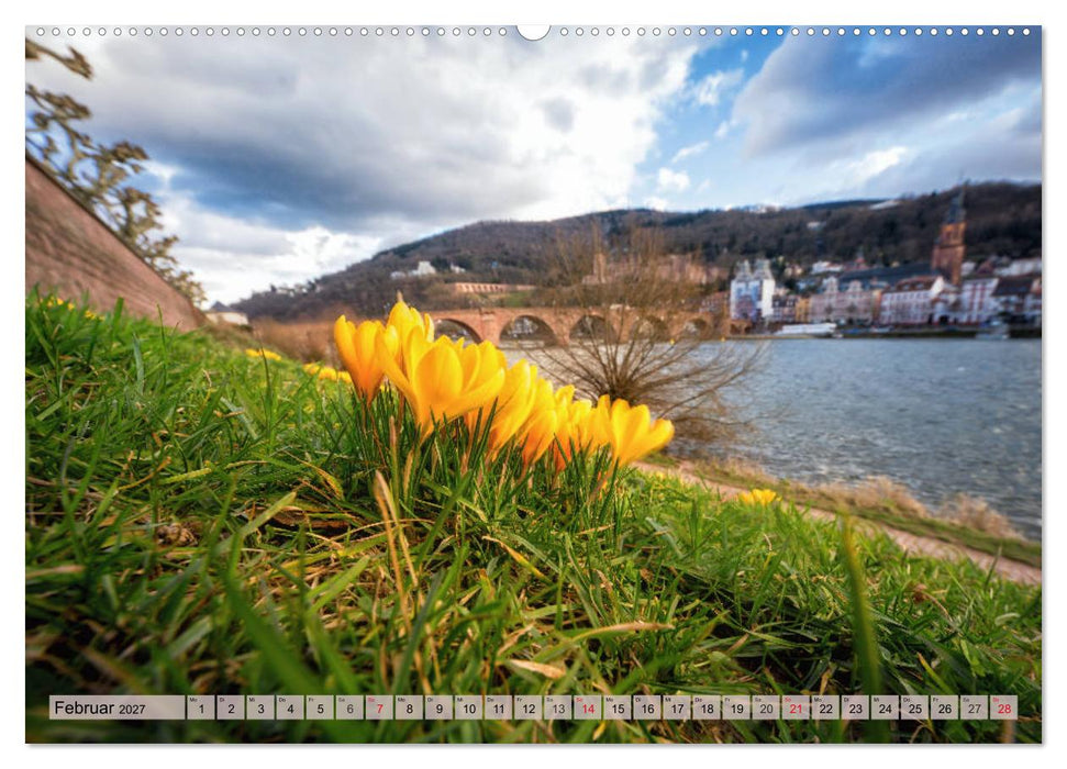 Heimweh nach Heidelberg - Die romantische Stadt am Neckar (CALVENDO Wandkalender 2027)