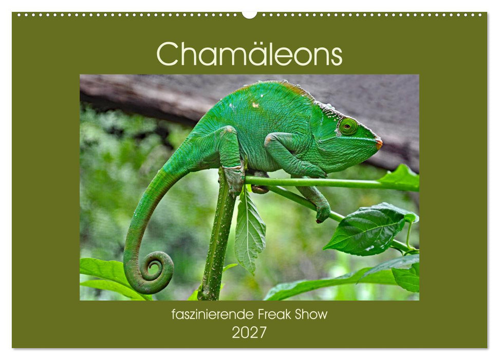 Chamäleons - faszinierende Freak Show (CALVENDO Wandkalender 2027)