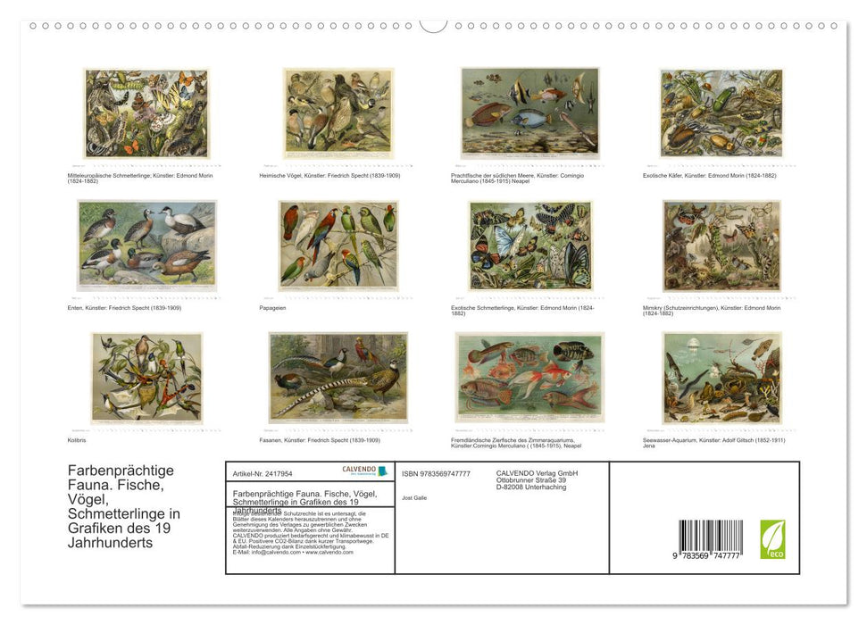 Farbenprächtige Fauna. Fische, Vögel, Schmetterlinge in Grafiken des 19 Jahrhunderts (CALVENDO Premium Wandkalender 2027)