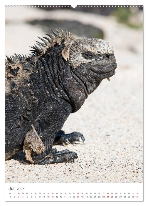 Galapagos - Atemberaubende Tierwelt (CALVENDO Premium Wandkalender 2027)
