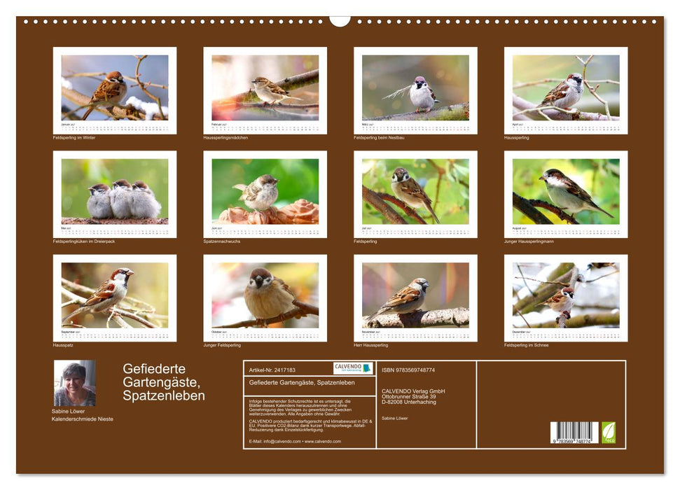Gefiederte Gartengäste, Spatzenleben (CALVENDO Wandkalender 2027)