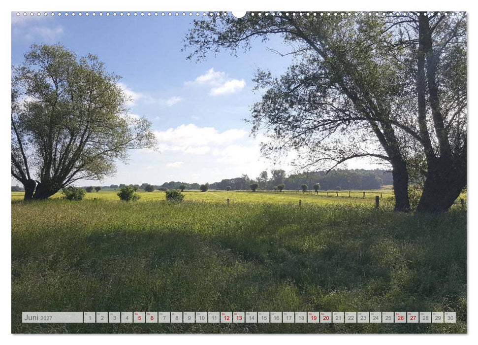 Natur-Paradies Mecklenburgische Schweiz (CALVENDO Wandkalender 2027)