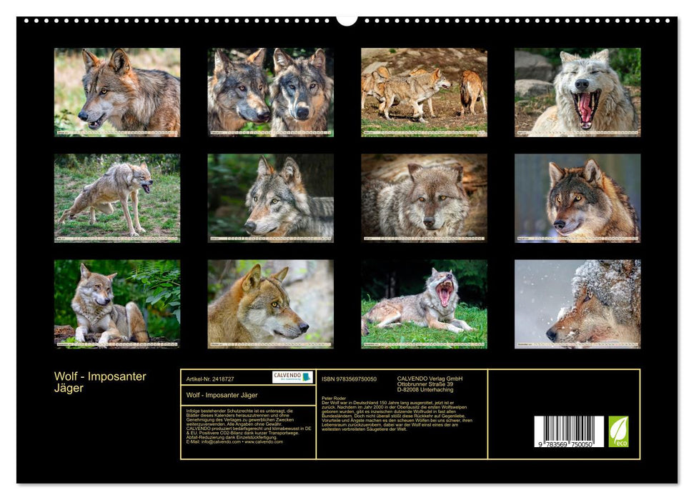 Wolf - Imposanter Jäger (CALVENDO Wandkalender 2027)