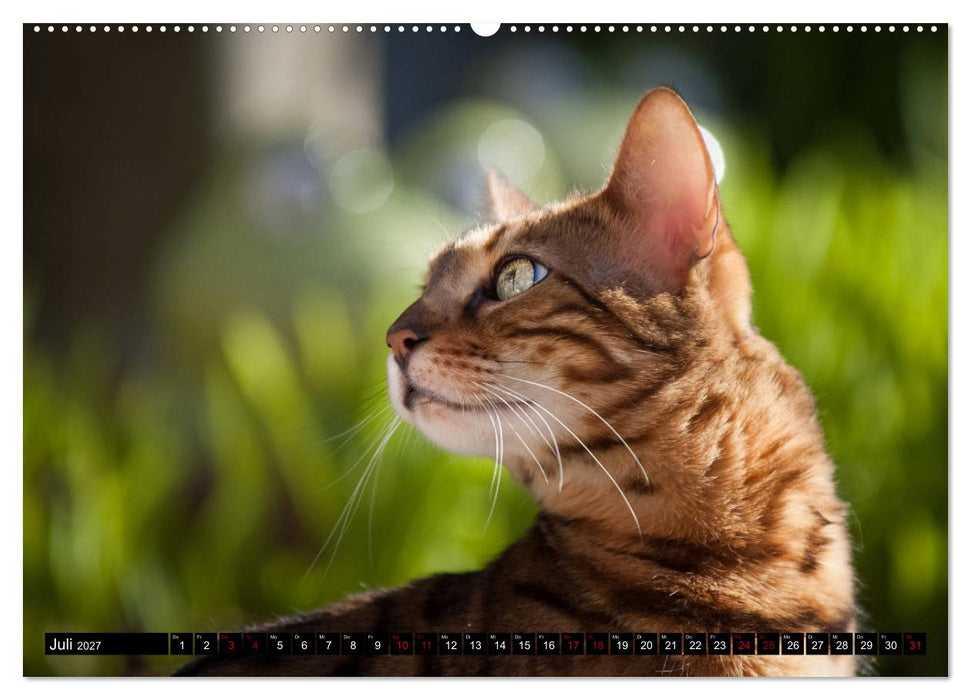 Bengalen Outdoor und Action (CALVENDO Premium Wandkalender 2027)