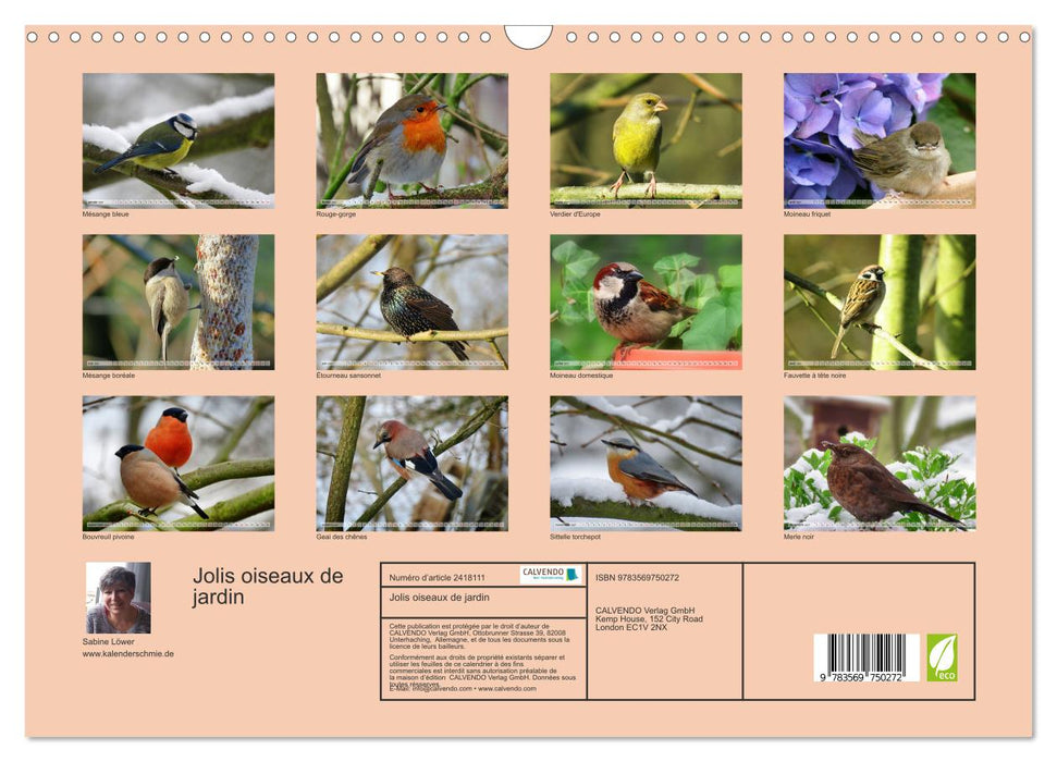 Jolis oiseaux de jardin (CALVENDO Calendrier mensuel 2027)
