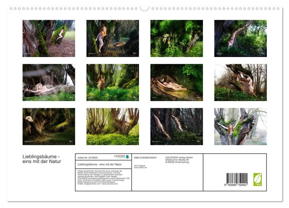 Lieblingsbäume - eins mit der Natur (CALVENDO Premium Wandkalender 2027)