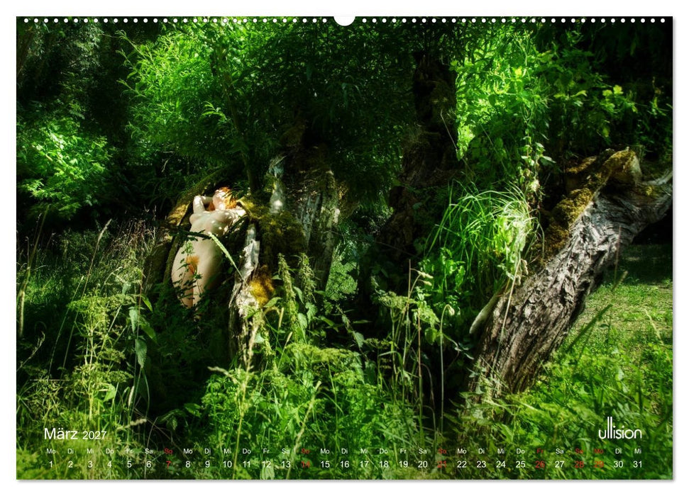 Lieblingsbäume - eins mit der Natur (CALVENDO Premium Wandkalender 2027)