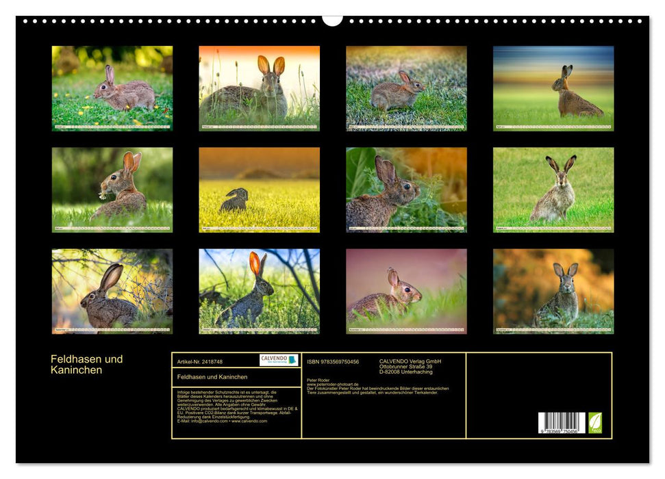 Feldhasen und Kaninchen (CALVENDO Wandkalender 2027)