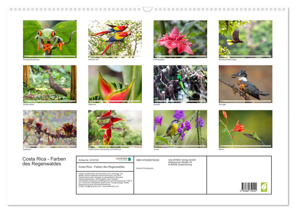 Costa Rica - Farben des Regenwaldes (CALVENDO Wandkalender 2027)