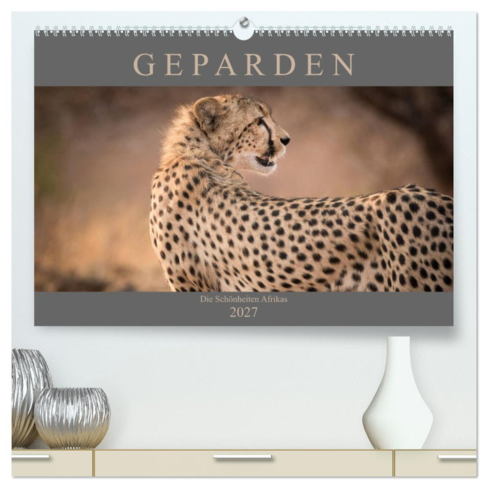 Geparden - Die Schönheiten Afrikas (CALVENDO Premium Wandkalender 2027)