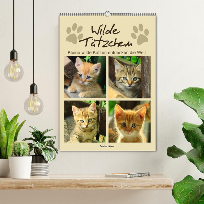 Wilde Tätzchen, kleine wilde Katzen entdecken die Welt (CALVENDO Wandkalender 2027)