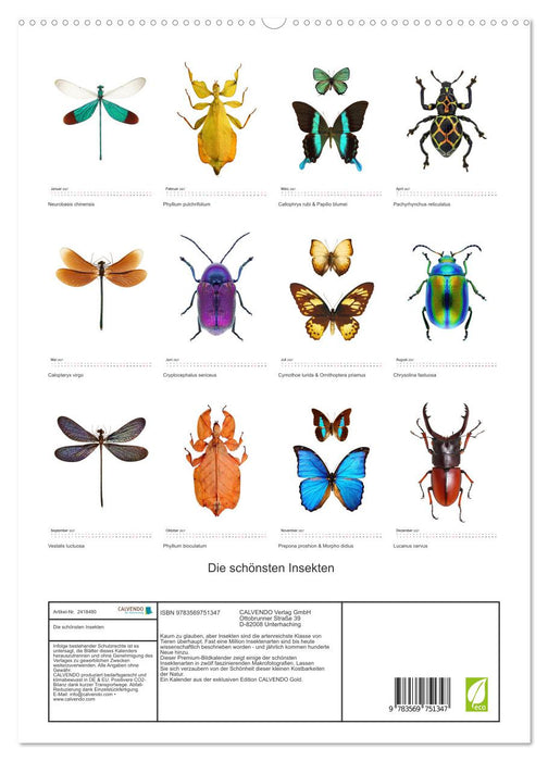 Die schönsten Insekten (CALVENDO Premium Wandkalender 2027)