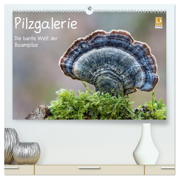 Pilzgalerie - Die bunte Welt der Baumpilze (CALVENDO Premium Wandkalender 2027)