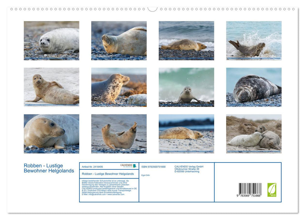 Robben - Lustige Bewohner Helgolands (CALVENDO Premium Wandkalender 2027)