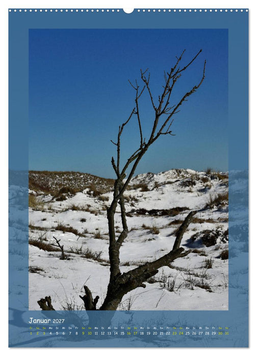 Texel sehen und verlieben (CALVENDO Wandkalender 2027)