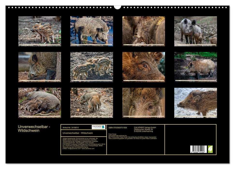 Unverwechselbar - Wildschwein (CALVENDO Wandkalender 2027)