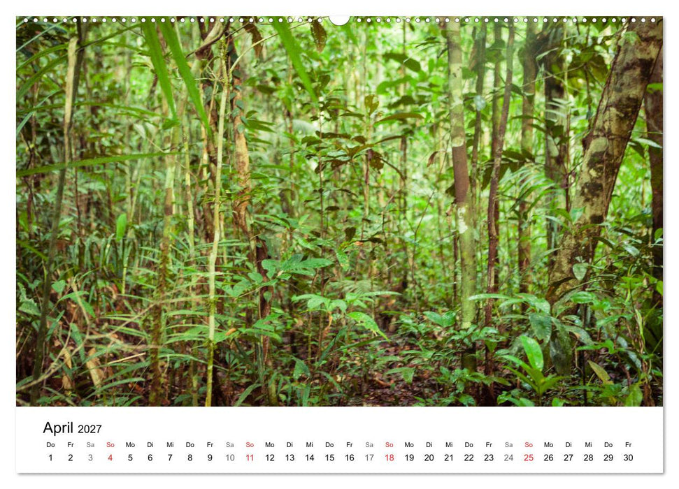 Mythos Amazonas - Naturparadies Brasiliens (CALVENDO Wandkalender 2027)