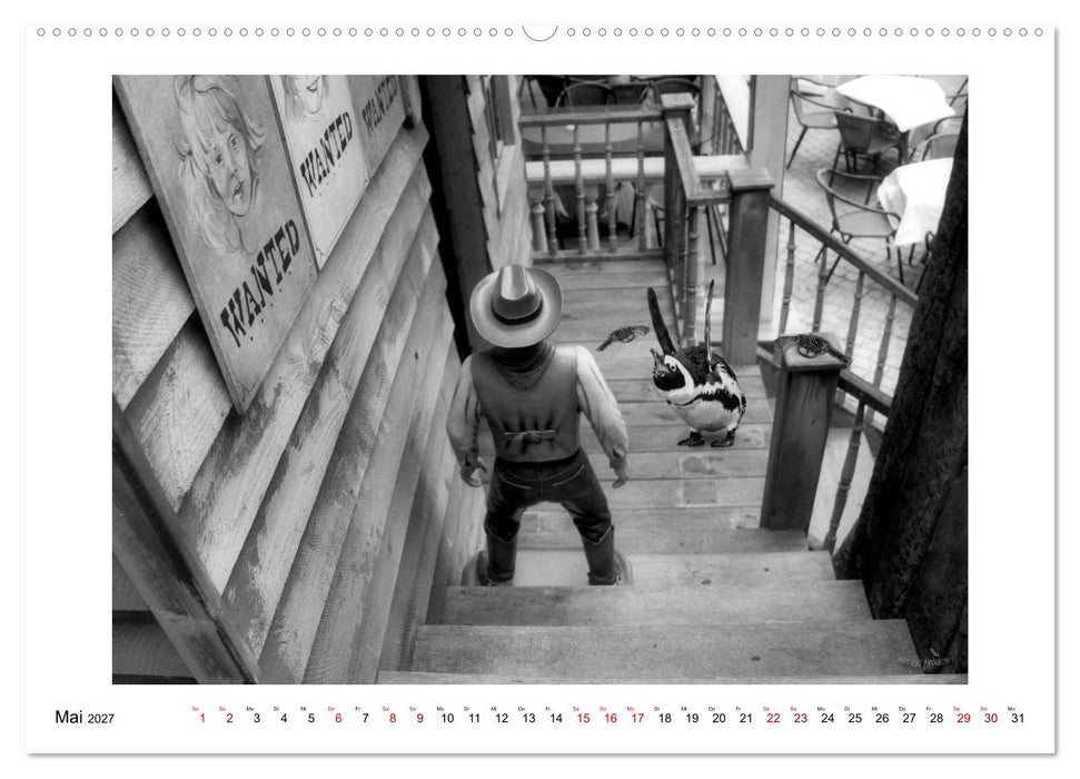 Pinguine privat (CALVENDO Wandkalender 2027)