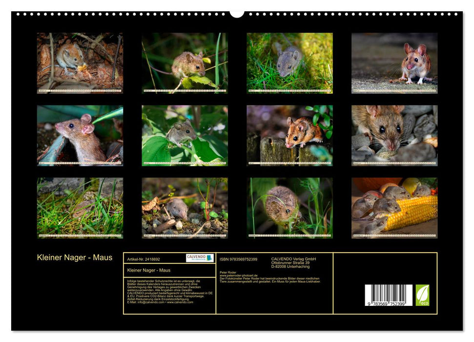 Kleiner Nager - Maus (CALVENDO Premium Wandkalender 2027)