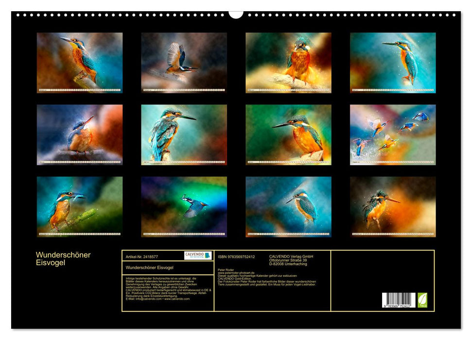 Wunderschöner Eisvogel (CALVENDO Wandkalender 2027)