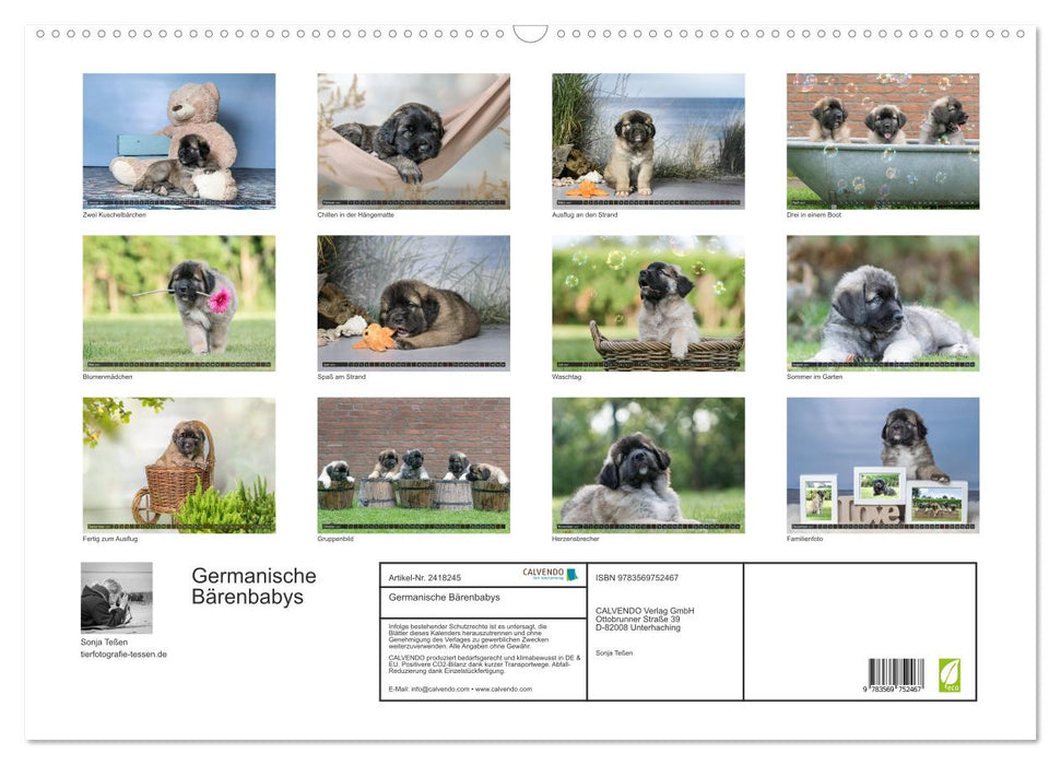 Germanische Bärenbabys (CALVENDO Wandkalender 2027)