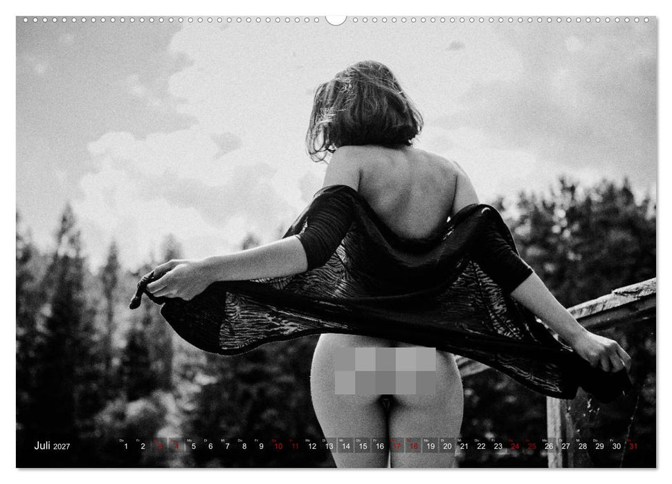 Du bist schön - Sinnliche Aktfotografien (CALVENDO Premium Wandkalender 2027)