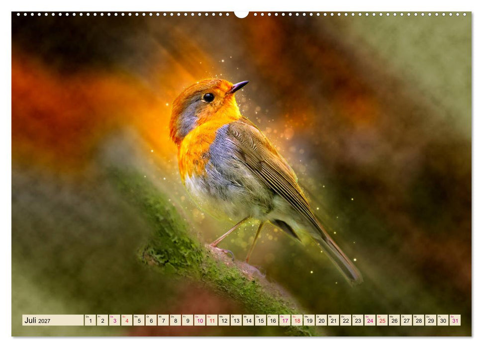 Bei uns im Garten - Rotkehlchen (CALVENDO Premium Wandkalender 2027)