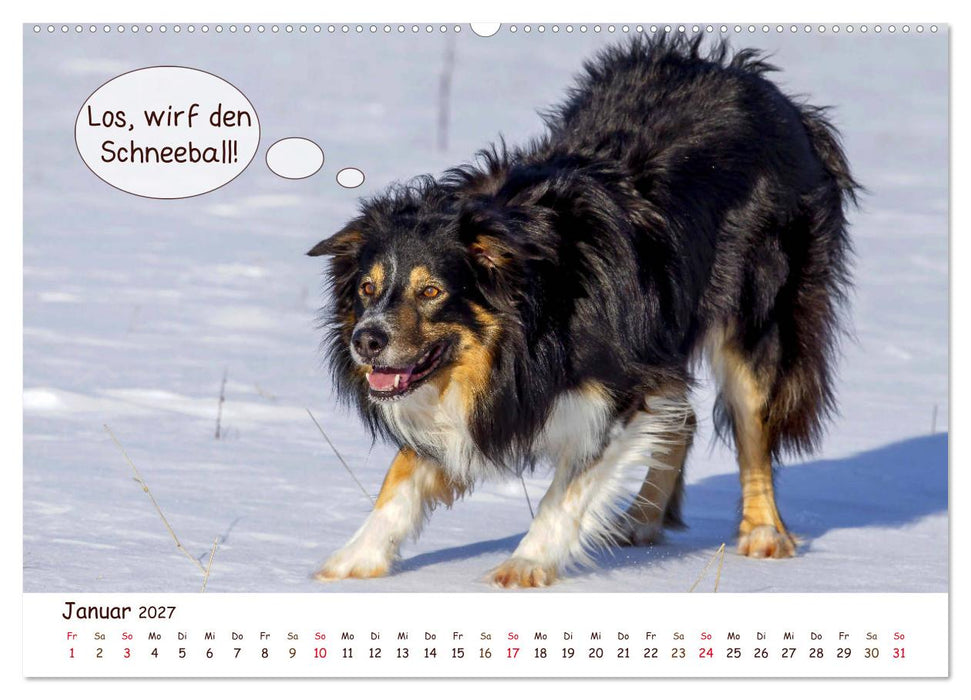 Frei Schnauze 2027. Was Hunde am liebsten sagen würden (CALVENDO Premium Wandkalender 2027)