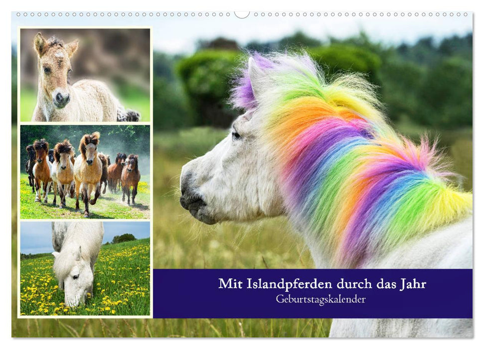 Mit Islandpferden durch das Jahr Geburtstagskalender (CALVENDO Wandkalender 2027)